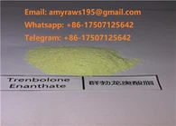 Raw Tren E Powder