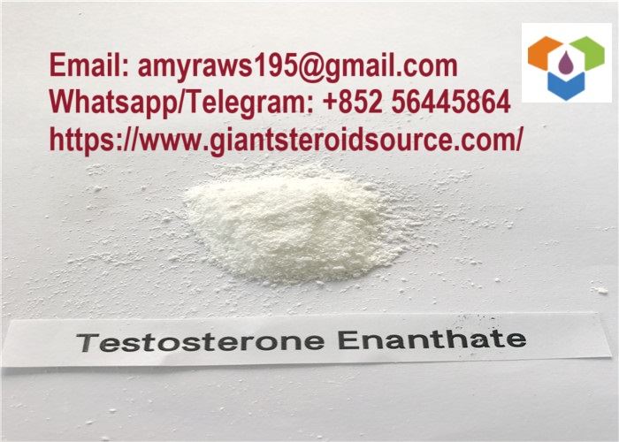 High Quality White Testostewòn Enanthate kri poud pou boule grès / pran fòs